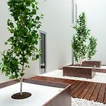 Citybox Center 3*