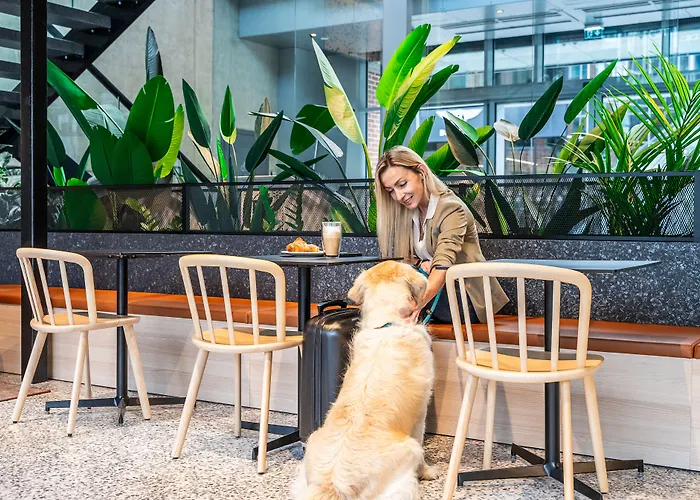 Szálloda Citybox Center